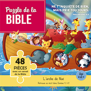2678020201202, puzzle, arche de noé