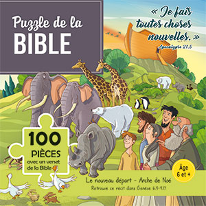 2678020220104, puzzle, bible, arche de noé