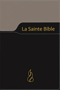 La Sainte Bible NEG, Nouvelle Édition de Genève à gros caractères 9782608115959, neg, bible