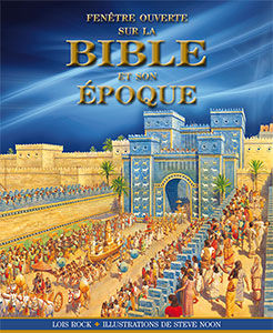 9782755001433, fenêtre, ouverte, sur, la, bible, et, son, époque, lois, rock, steve, noon, éditions, excelsis, xl6, enfants, enfance, petits, histoires, bibliques