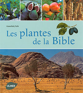 9782841382750, plantes, bible, kawollek, falk