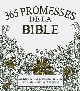 9782853006743, promesses, bible