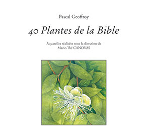 9782918469650, plantes, aquarelles, pascal geoffroy