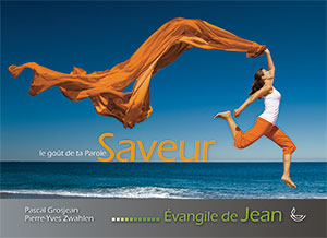 9782970076193, évangile de jean, pierre-yves zwahlen
