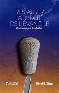 9791097546212, judéité, évangile, david stern