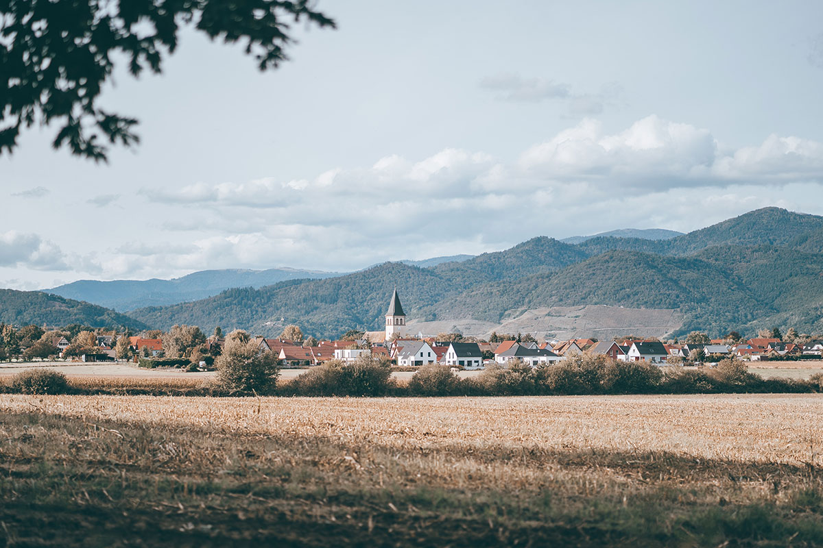 2020, covid, philippe malidor