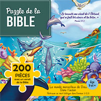 2678020220111, puzzle, bible, monde merveilleux