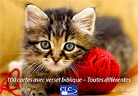 2678020230929, cartes, animaux, verset biblique