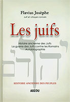 9782733810330, histoire, juifs, romains