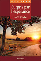 9782755003345, surpris par l’espérance, n.t. wright